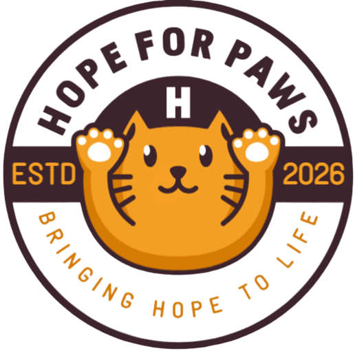 hope-angel.com
